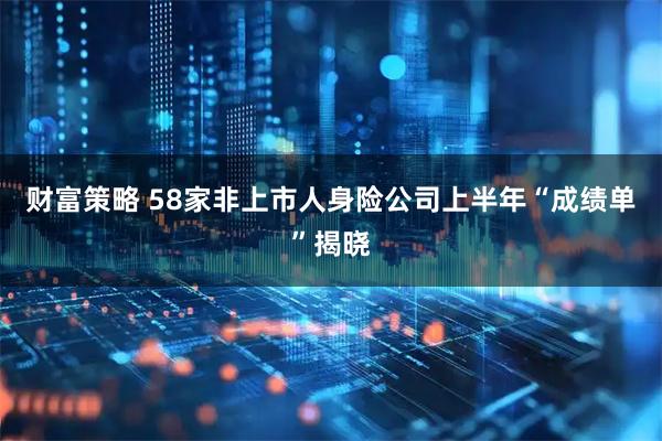 财富策略 58家非上市人身险公司上半年“成绩单”揭晓