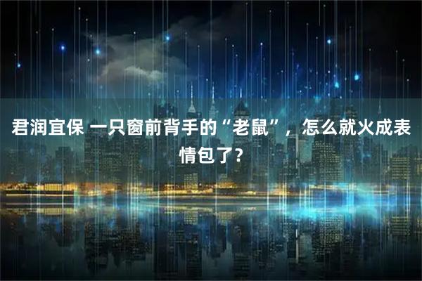 君润宜保 一只窗前背手的“老鼠”，怎么就火成表情包了？