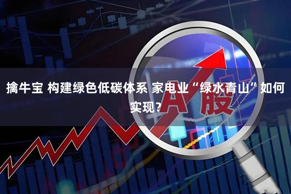 擒牛宝 构建绿色低碳体系 家电业“绿水青山”如何实现？